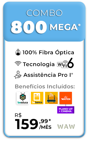Cartão Site 800mb copiard